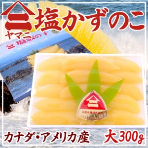 北海道 井原水産 ”ヤマニ 塩数の子” 大 約300g 化粧箱 カナダ・アメリカ産 塩かずのこ 送料無料