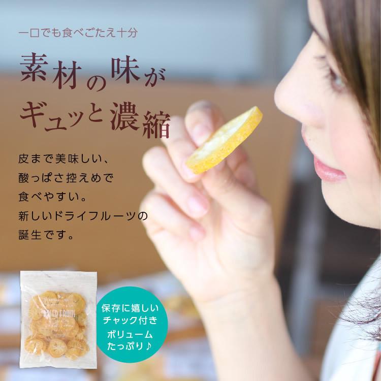 ドライフルーツ はちみつレモン (250g) 国産ドライフルーツ ドライレモン 輪切り ドライ 蜂蜜 レモン おやつ 南信州菓子工房 お菓子作り プチギフト お歳暮