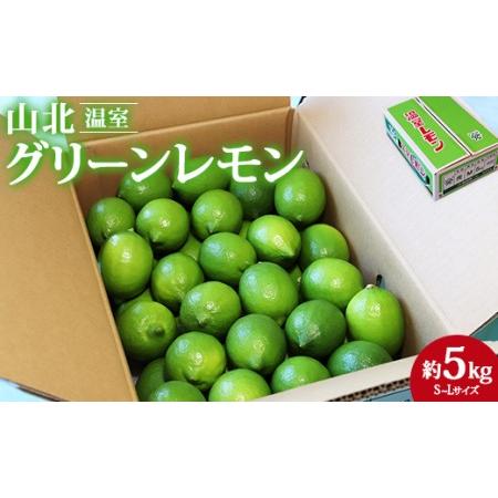 ふるさと納税 高知県産 山北温室グリーンレモン 約5kg(S〜Lサイズ)  果物 フルーツ 柑橘 のし対応可 レモン酎ハイ お酒 お菓子 料.. 高知県香南市