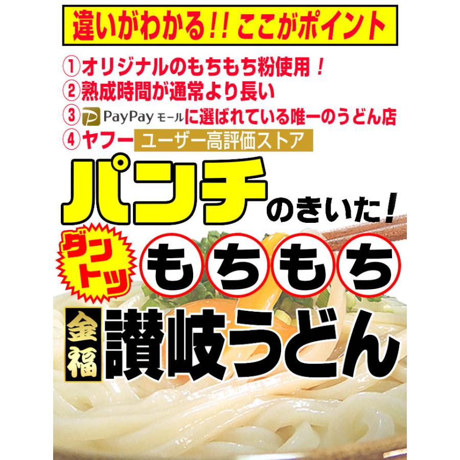 純生 讃岐 うどん ドーンと6食 便利な個包装 300g×2袋 600g 醤油 つゆ プレゼント 送料無料 最安値挑戦  得トクセール 特産品 訳あり 激旨