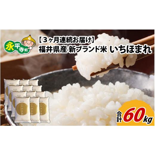 ふるさと納税 福井県 永平寺町 令和5年度産 福井県産新ブランド米 いちほまれ  20kg（5kg×4袋）×3ヶ月（計60kg） [K-002038]