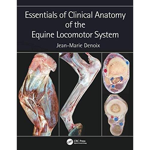 Essentials of Clinical Anatomy of the Equine Locomotor System