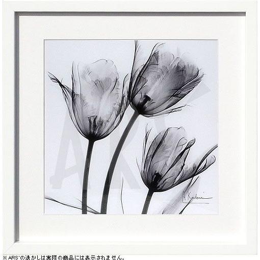 レントゲンアート 花 x-ray art アートパネル アートポスター