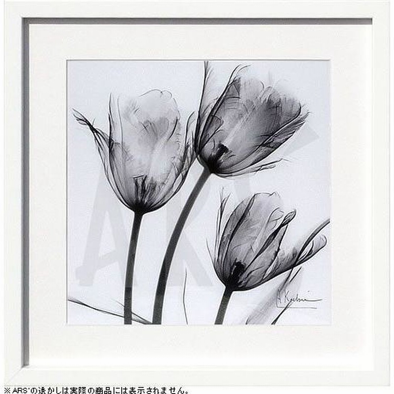 レントゲンアート 絵画　アートパネル　花　花びら　パネル レントゲンアート 花 x-ray art アートパネル アートポスター