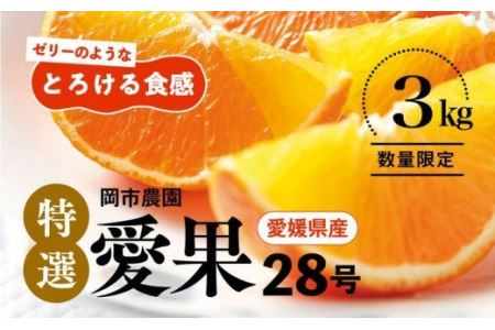 ＼農園直送／愛媛県産 愛果28号（特選） 3kg×1箱 限定50箱◆ ※2023年12月中旬頃～2024年1月中旬頃に順次発送予定