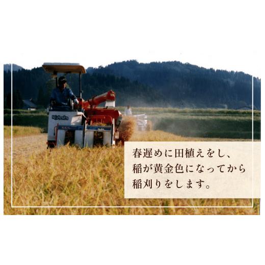 ふるさと納税 富山県 氷見市 令和5年産 富山県産 コシヒカリ ひみの舞 10kg  富山県 氷見市 コシヒカリ 令和5年度 こしひかり