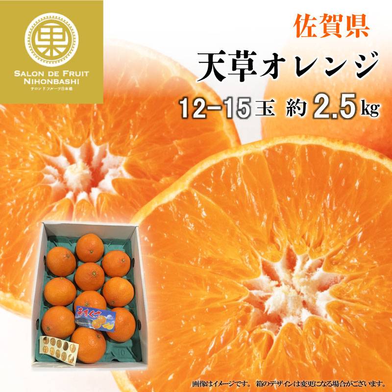 [予約 2024年1月4日-1月15日の納品] 天草 SML 約2.5kg 12-15玉 佐賀県産ほか みかん お年賀 御年賀