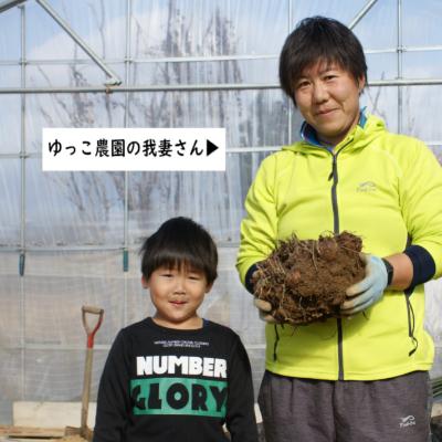 ふるさと納税 川西町 「2023年10月下旬発送開始」農家直送土付き里芋(大和早生)5kg