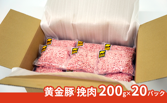 北海道 豚ひき肉 普通挽き あら挽き 200g 20パック 計4kg 伊達産 黄金豚 三元豚 ミンチ 挽肉 お肉 小分け ハンバーグ 餃子 カレー 大矢 オオヤミート 冷凍 送料無料