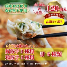 宇都宮餃子　6種類味比べ(合計120個)　保存料不使用