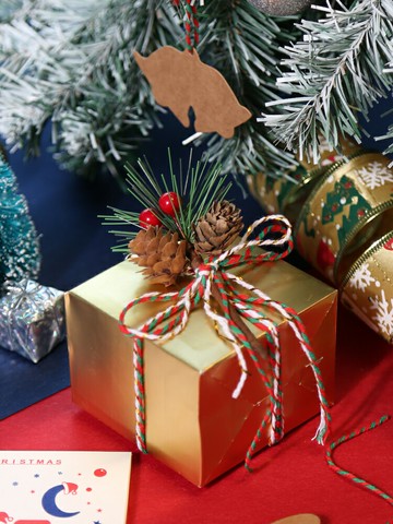 圣誕節禮物創意禮品裝飾場景道具圣誕樹仿真松樹枝紅色果實松果