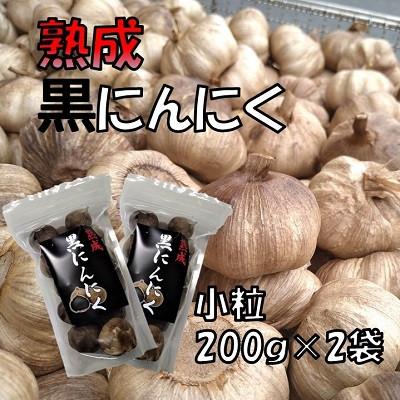 ふるさと納税 白子町 熟成黒にんにく (小粒)200g×2袋