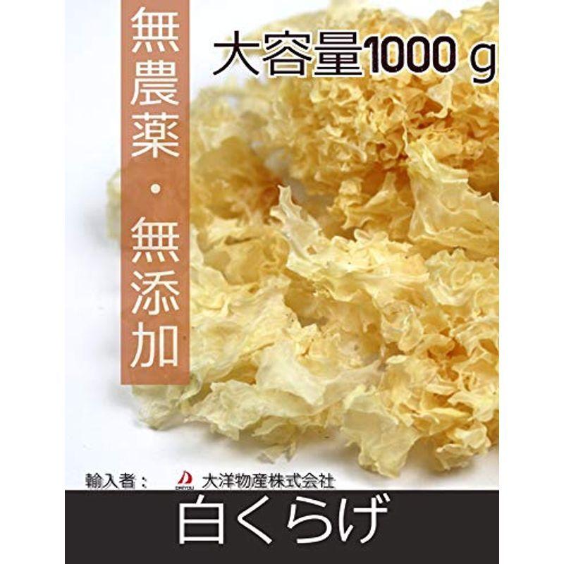 大洋物産 白木耳 しろきくらげ 1000g   スライス   乾燥 栄養 食物繊維 ビタミンD 調理しやすい肉厚感 )…