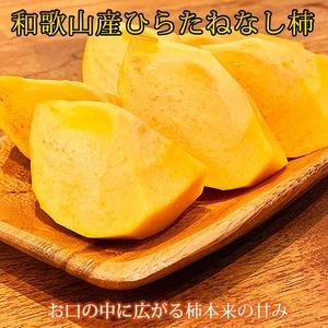 ふるさと納税 平核無柿（ひらたねなしがき）約２kg　化粧箱入　和歌山秋の味覚かつらぎ町産 和歌山県かつらぎ町