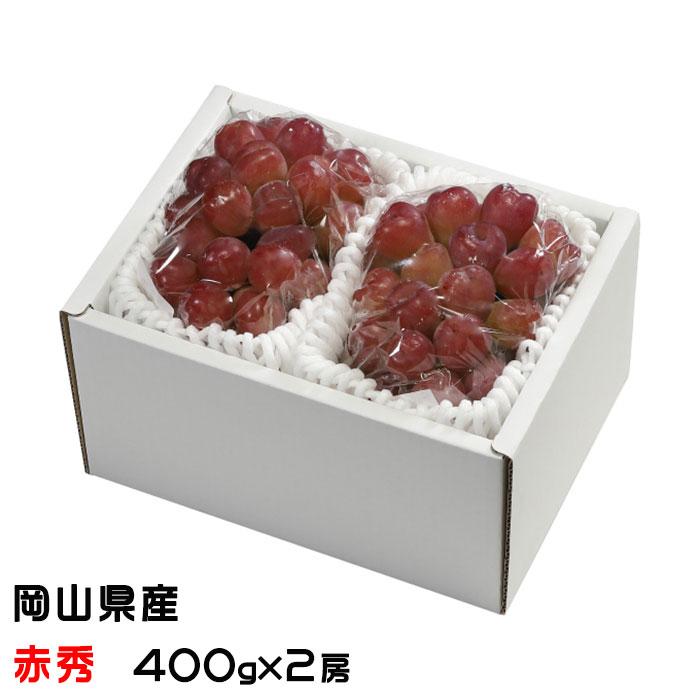 ぶどう マイハート 赤秀 400g×2房 岡山県産 ＪＡおかやま 葡萄 ブドウ