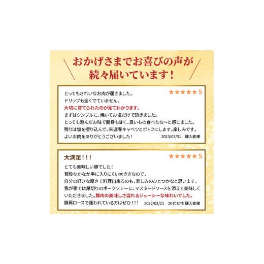 ふるさと納税 宮崎県 延岡市 延岡よっとん　肩ロース　ブロック約1.1kg　N003-ZA330