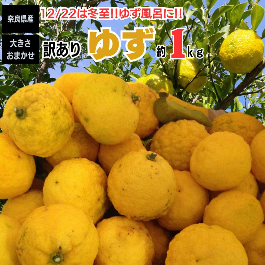 ゆず 冬至 ゆず風呂 奈良県産 訳あり 約1ｋｇ