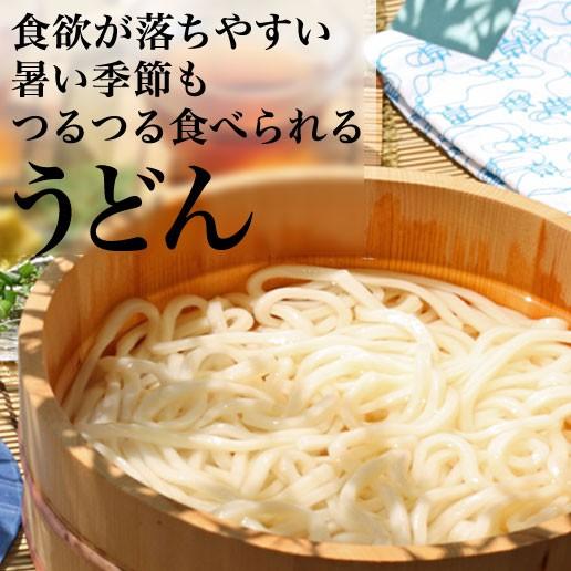 お歳暮 ギフト プレゼント 2023 讃岐うどん 送料無料 セール 太麺 本場 讃岐うどん 10人前 セット お取り寄せ  特産品 名物商品