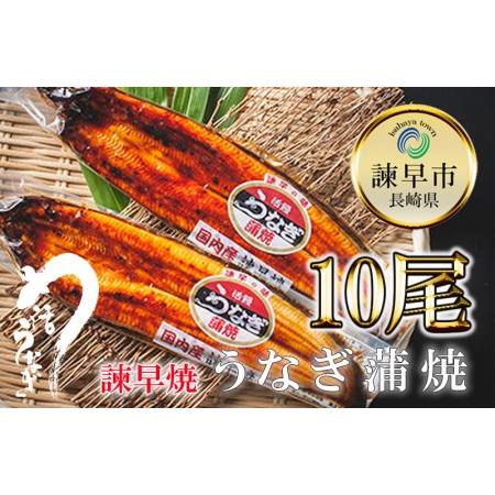 ふるさと納税 うなぎ蒲焼10尾 長崎県諫早市