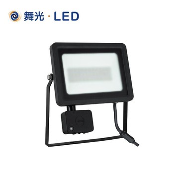 舞光 防水感應泛光燈 LED 20W/30W 投射燈 OD-SEFL20D 白光 黃光【高雄永興照明】【領券滿額再折千12/31止】