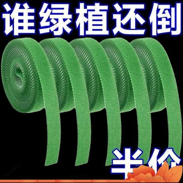 本土出貨🔥綠植捆綁紮帶綠色魔術貼粘扣帶捆綁不傷支撐固定紮帶 MUTJ