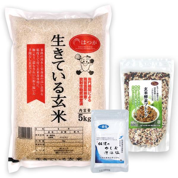 玄米酵素ごはんセットＢ(玄米酵素ブレンド500g   天然塩50g   生きている玄米5kg) 令和5年産