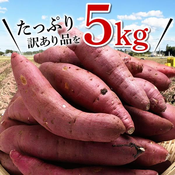 訳あり さつまいも 紅はるか 5kg 送料無料 サツマイモ さつま芋 千葉県産 国産