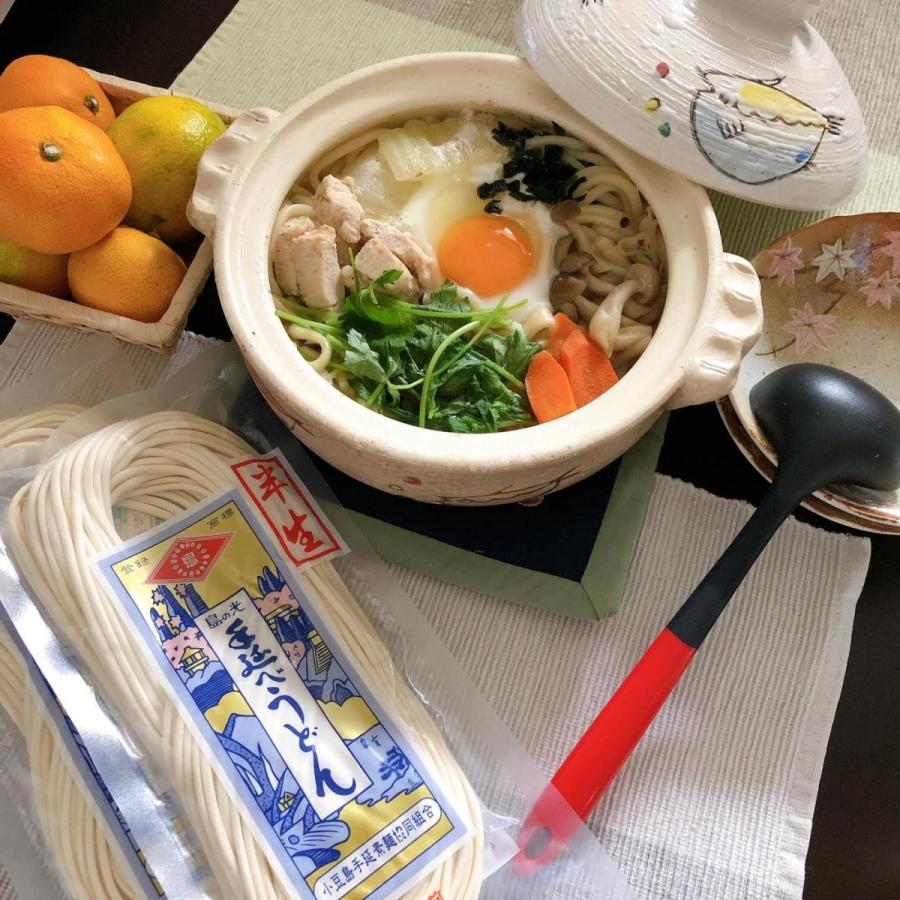 島の光 小豆島手延べ 半生うどん 200g（2人前）　うどん県 讃岐うどん さぬきうどん