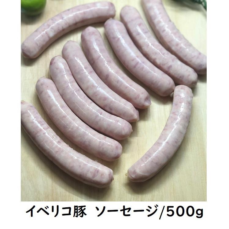 イベリコ豚入り　ソーセージ　500g　イベリコ豚　冷凍