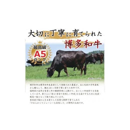 ふるさと納税 福岡県 大川市 博多和牛サーロインステーキセット 500g（250g×2枚）