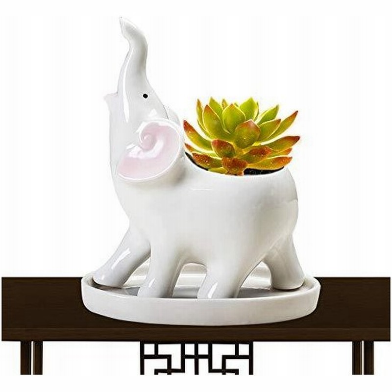 象の形 キュート セラミック 多肉植物 プランターポット 小さなdiyフラワーコンテナ 屋内装飾用 通販 Lineポイント最大0 5 Get Lineショッピング
