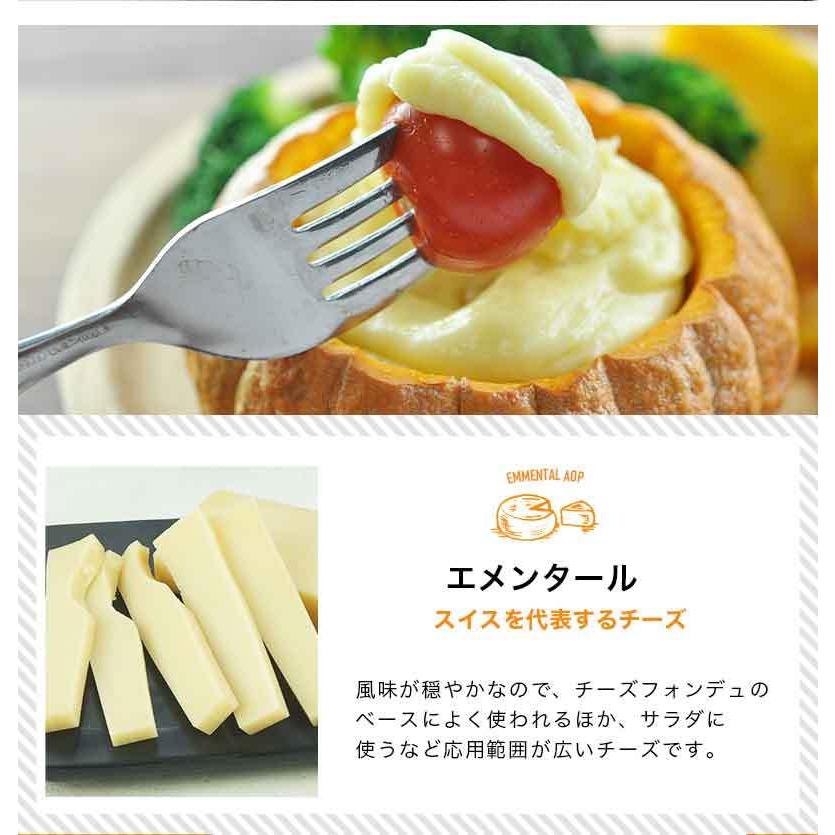 エメンタール カット 90g ［冷蔵］