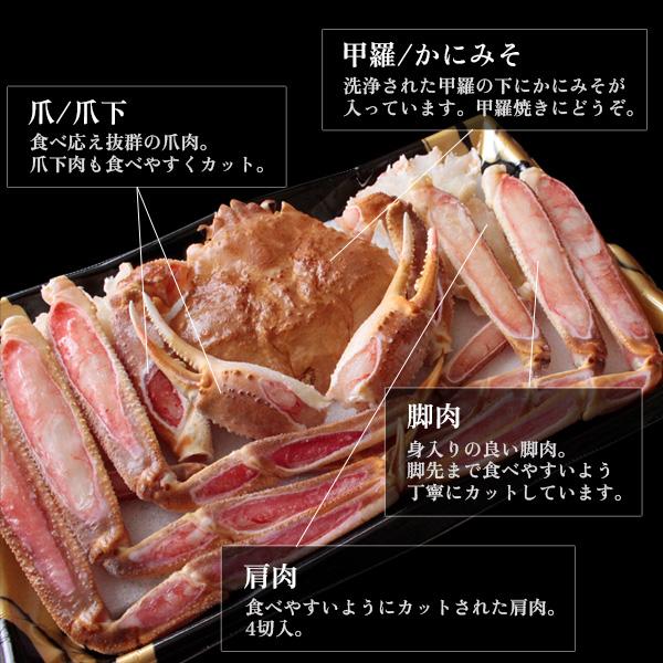 お歳暮 ギフト かにみそ付き 生ズワイガニまるごとかに鍋セット約500g（2〜3人前） かに カニ 蟹 料無料（北海道・沖縄を除く）