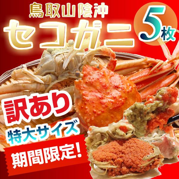 セコガニ せこがに 特大サイズ ５枚（訳あり180g前後）山陰沖産 訳有り 親がに ご自宅用 セイコガニ  蟹 香箱カニ 送料無料