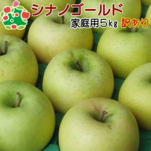 りんご 訳あり 青森県産 シナノゴールド 家庭用 キズあり 5kg 送料無料 産地直送 産直自宅用 ワケあり お試し 試食 食べ物 旬の くだもの