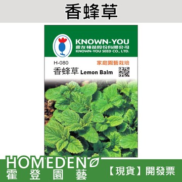 【隔日到貨】香蜂草 H-080 香草種子 農友牌 小包裝種子 約200粒/包【HOMEDEN霍登園藝】