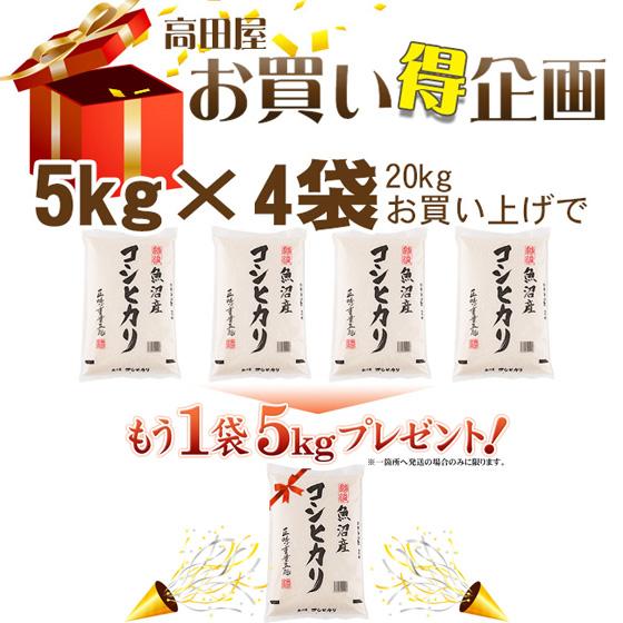 令和５年産　お米 5kg 白米 魚沼産コシヒカリ  5kg×1袋　※送料無料（一部地域を除く）