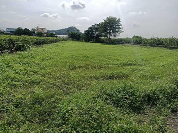 美濃龍肚段臨路六米農地｜國十延伸線｜高雄市美濃區龍肚段