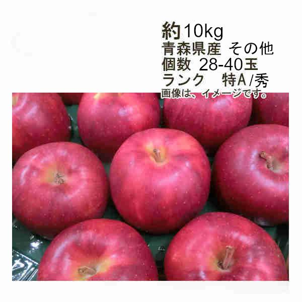 送料無料 ジョナゴールド 青森県産 その他 約10kg 個数 28-40玉 ランク 特A 秀