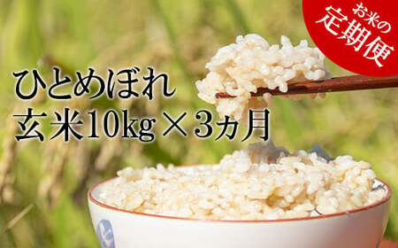  玄米 10kg （3ヶ月定期便） ／ 新米 米 産地直送 