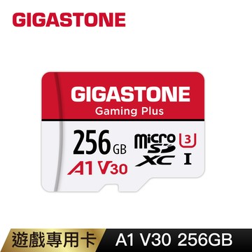 Gigastone 立達 Gaming Plus microSDXC UHS-Ⅰ U3 256GB遊戲專用記憶卡(256G A1 V30)