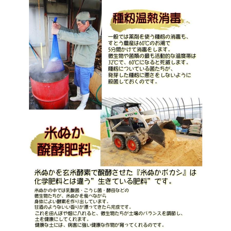 会津 合鴨農法 コシヒカリ 2kg 白米 令和4年産 こしひかり 新米 福島 お米 あいがも 送料無料 無農薬