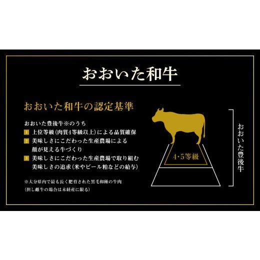 ふるさと納税 大分県 大分市 厳選A4〜A5等級 おおいた和牛 ヒレステーキ 4枚 400g