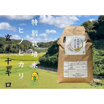 ふるさと納税 特別栽培米　神戸のまごころ　ヒノヒカリ 玄米　10kg（5kg×2袋） 兵庫県神戸市