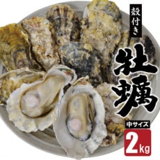 雲仙産瑞穂牡蠣中サイズ2kg(加熱用、殻付き)