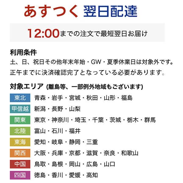 お試し5点セット スパゲッティ トマトソース スパイシートマトソース ドライトマト エキストラバージンオリーブオイル 小林もりみセレクト 正規品