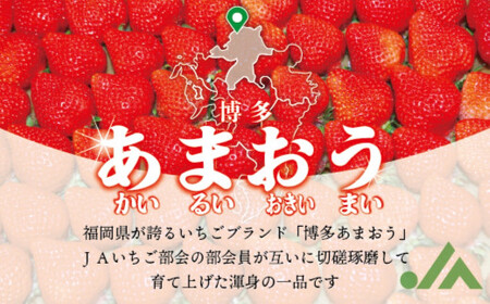 博多あまおう 約280g×2パック(冬) あまおう いちご 苺 果物 フルーツ 福岡県産 博多