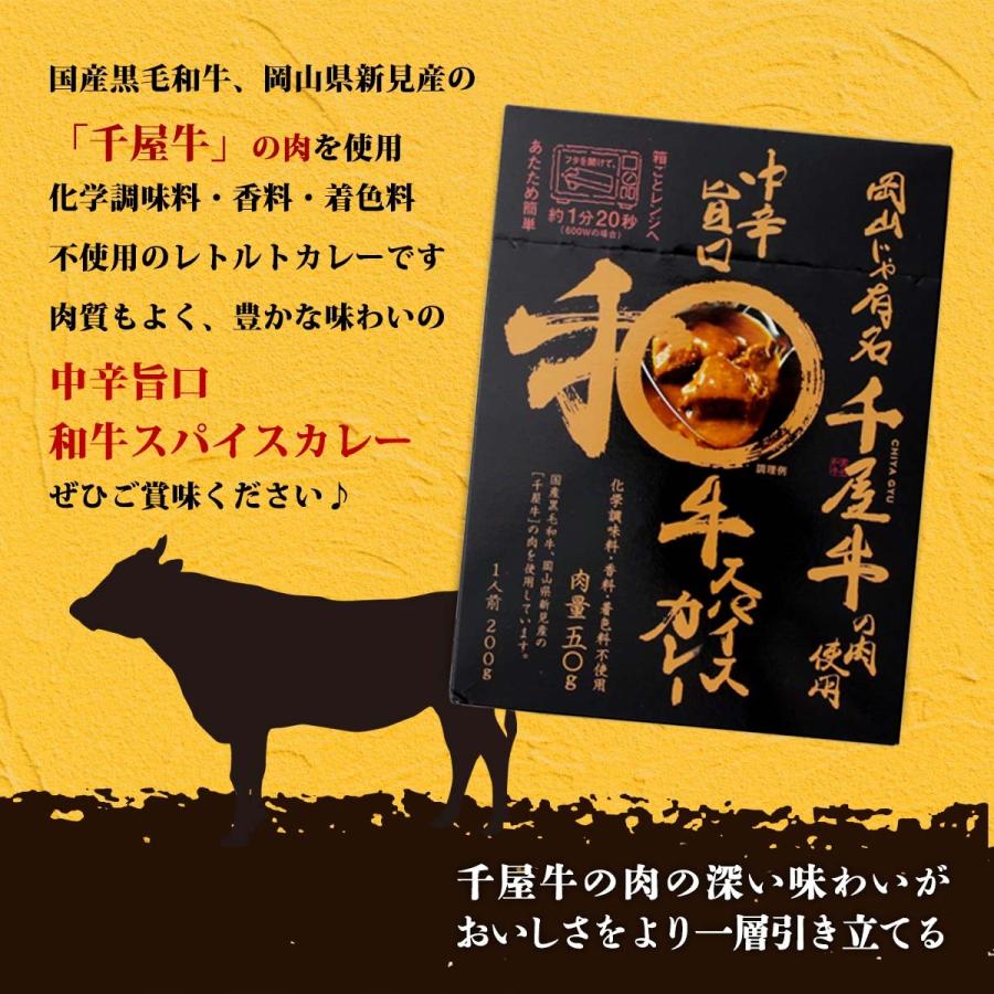 [哲多すずらん食品加工] レトルト カレー 中辛旨口 和牛 スパイスカレー 200g 岡山 千屋牛 カレー 中辛 簡単 レトルト レンジ調理