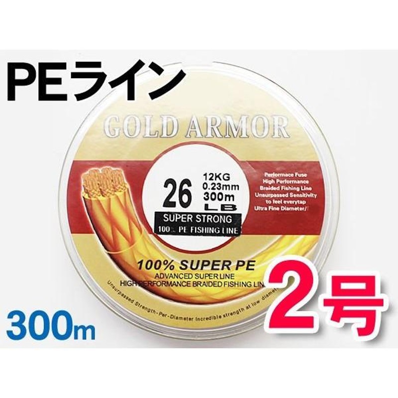 PEライン 2号 300m 釣り糸 0.23mm 12kg 磯釣り ジギング | LINEブランドカタログ