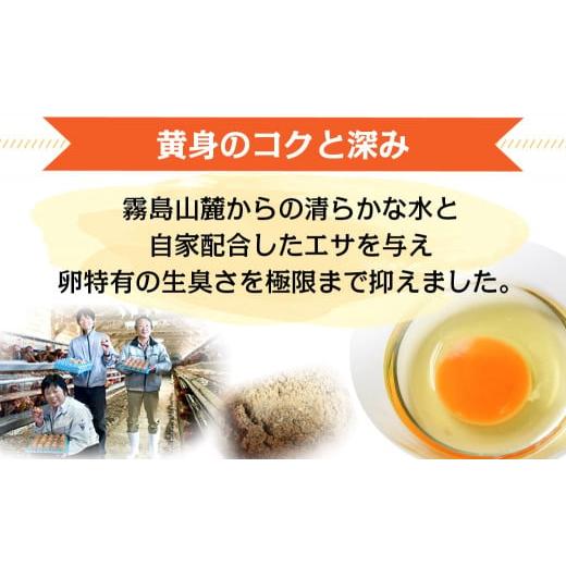 ふるさと納税 宮崎県 都城市 星空が綺麗な町より〜「めぐみのたまご」(LまたはMサイズ)10kg_16-6801_(都城市) 赤卵 めぐみのたまご 10kg Lサイズ Mサイズ たま…